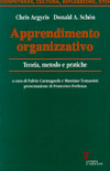 Apprendimento organizzativo