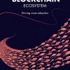 Blockchain Ecosystem ebook