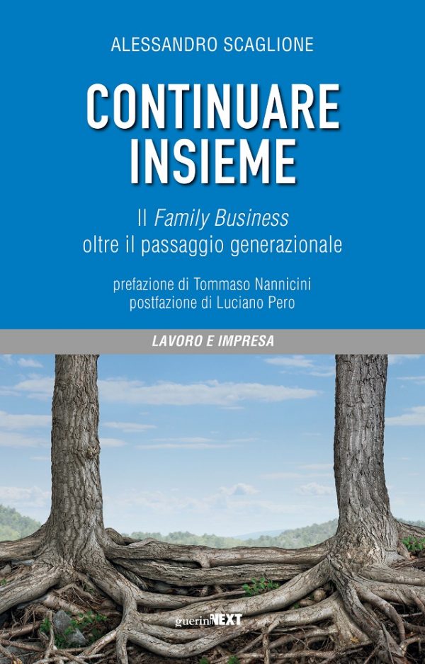 Copertina del volume Continuare insieme