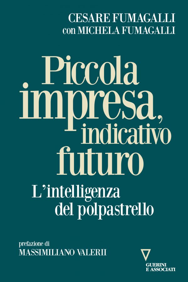 Front Cover PICCOLA IMPRESA - Fumagalli