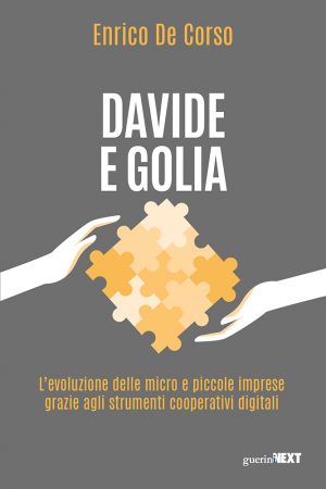 Copertina del volume Davide e Golia