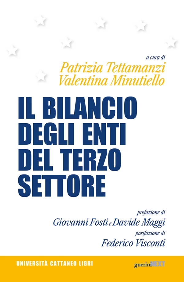P. Tettamanzi, V. Minutiello (a cura di), Il bilancio degli Enti del Terzo Settore, Guerini Next, 2023